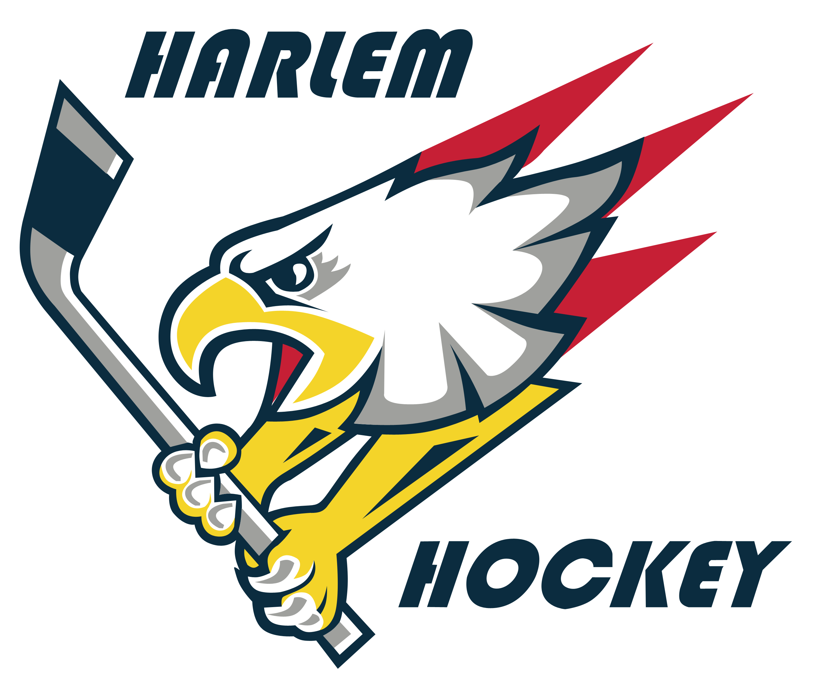 Harlem Hockey
